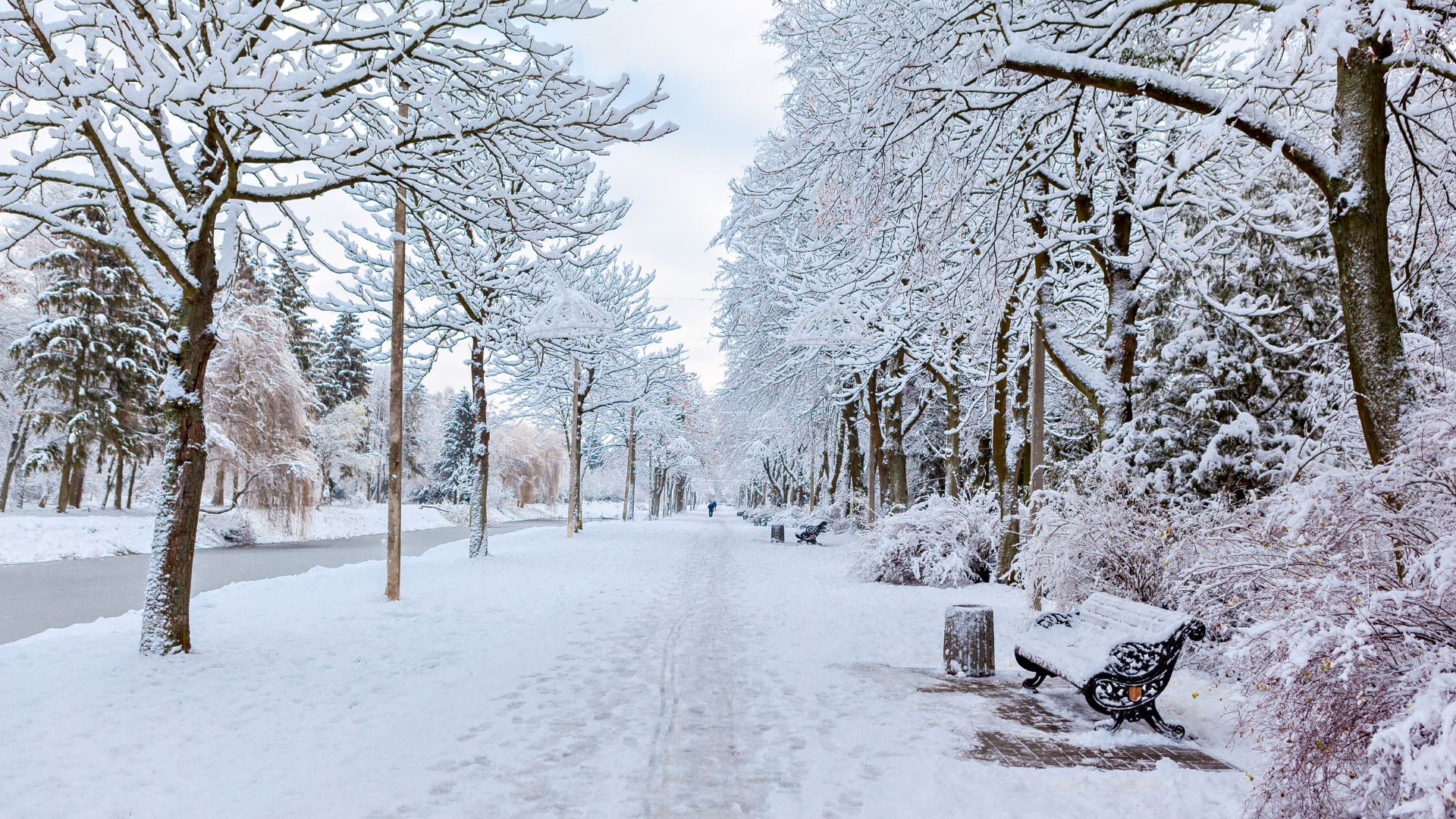 snowy scene